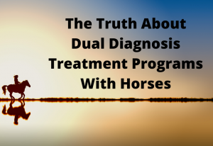 The Truth About Dual Diagnosis Treatment Programs With Horses
