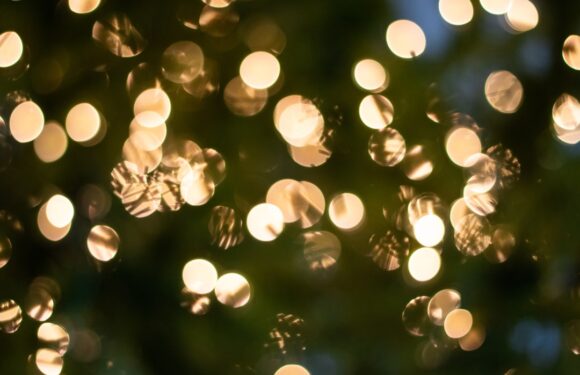 Finding Hope: Your Guide to Holiday Season Recovery