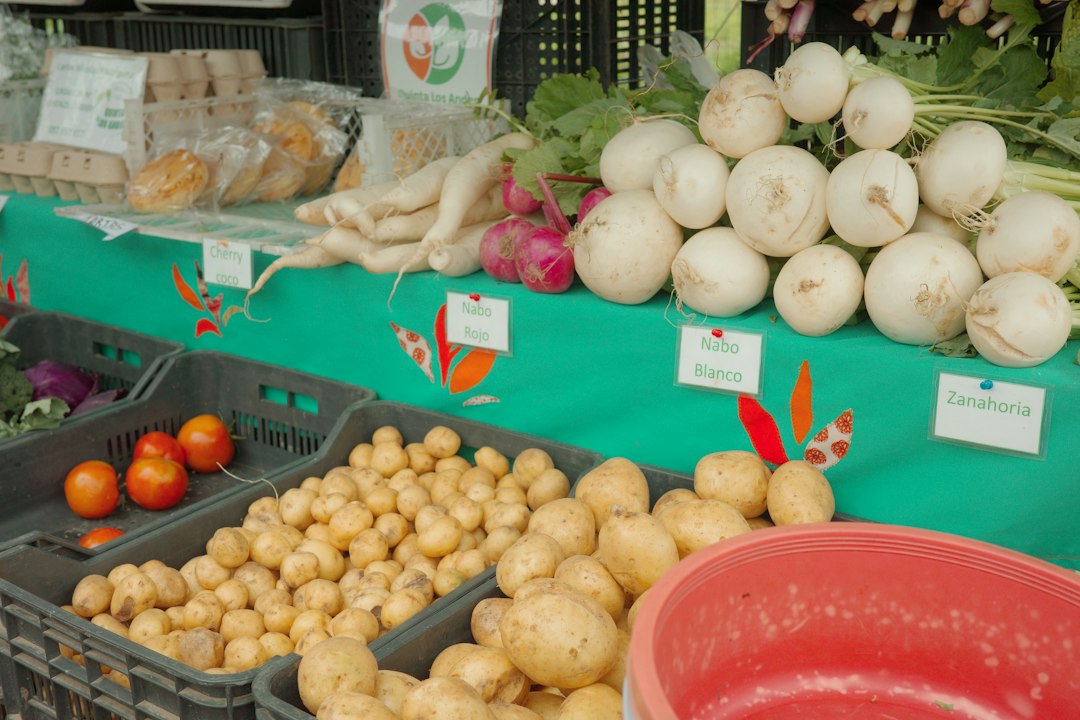 A person's hands select fresh, colorful produce from a stall at a vibrant outdoor farmers' market, illustrating how to save money on local groceries.